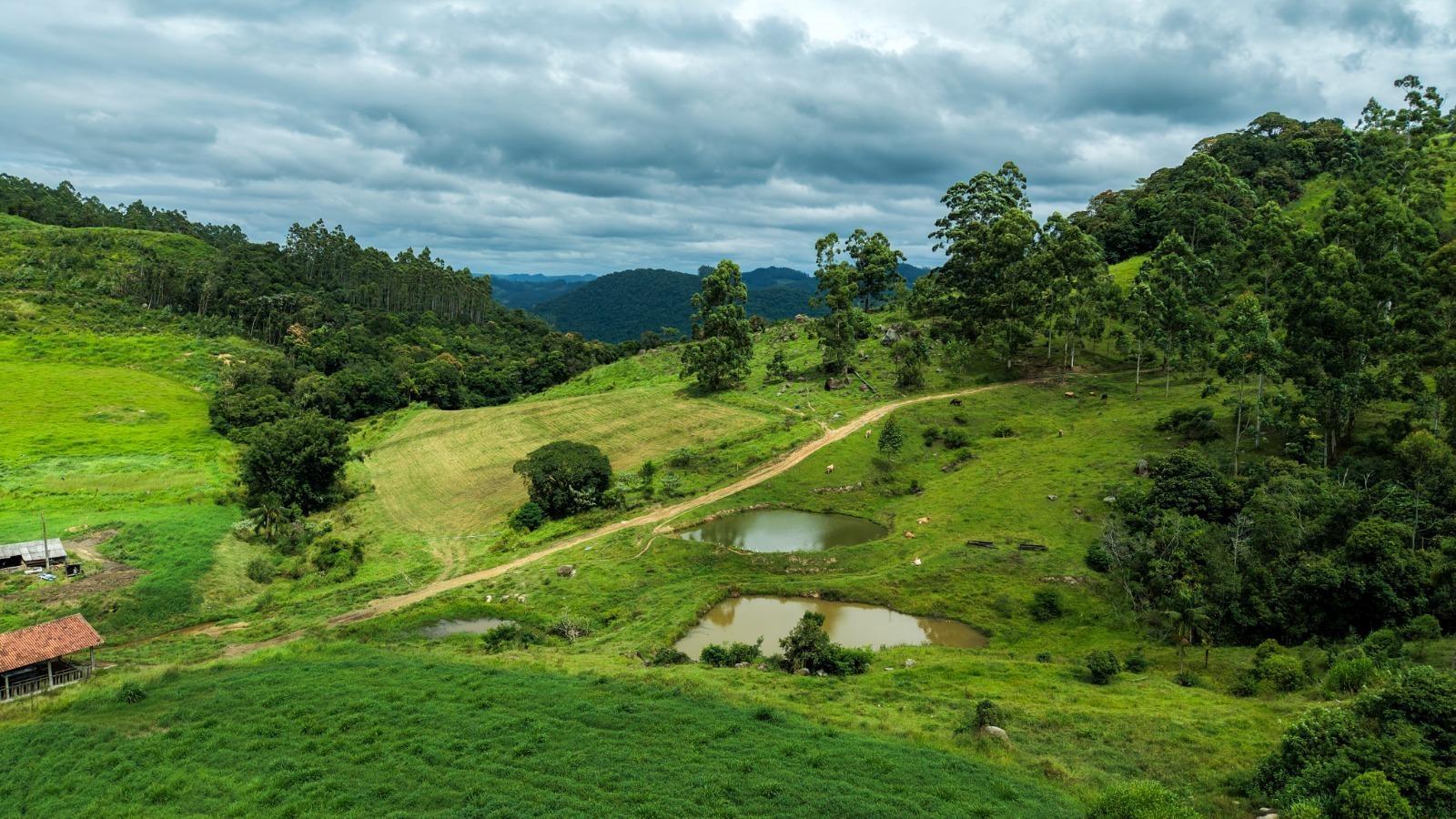Programa Mais Verde prorroga inscrições e amplia área de preservação em Santa Catarina
