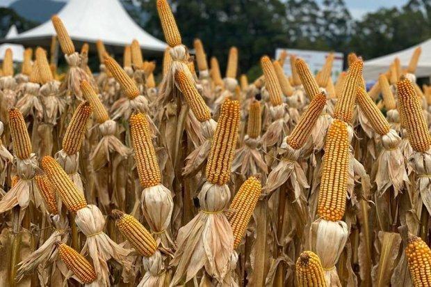 Programa Terra Boa do Governo do Estado investirá R$ 111,12 milhões em 2024, um aumento de 9% em relação ao ano anterior