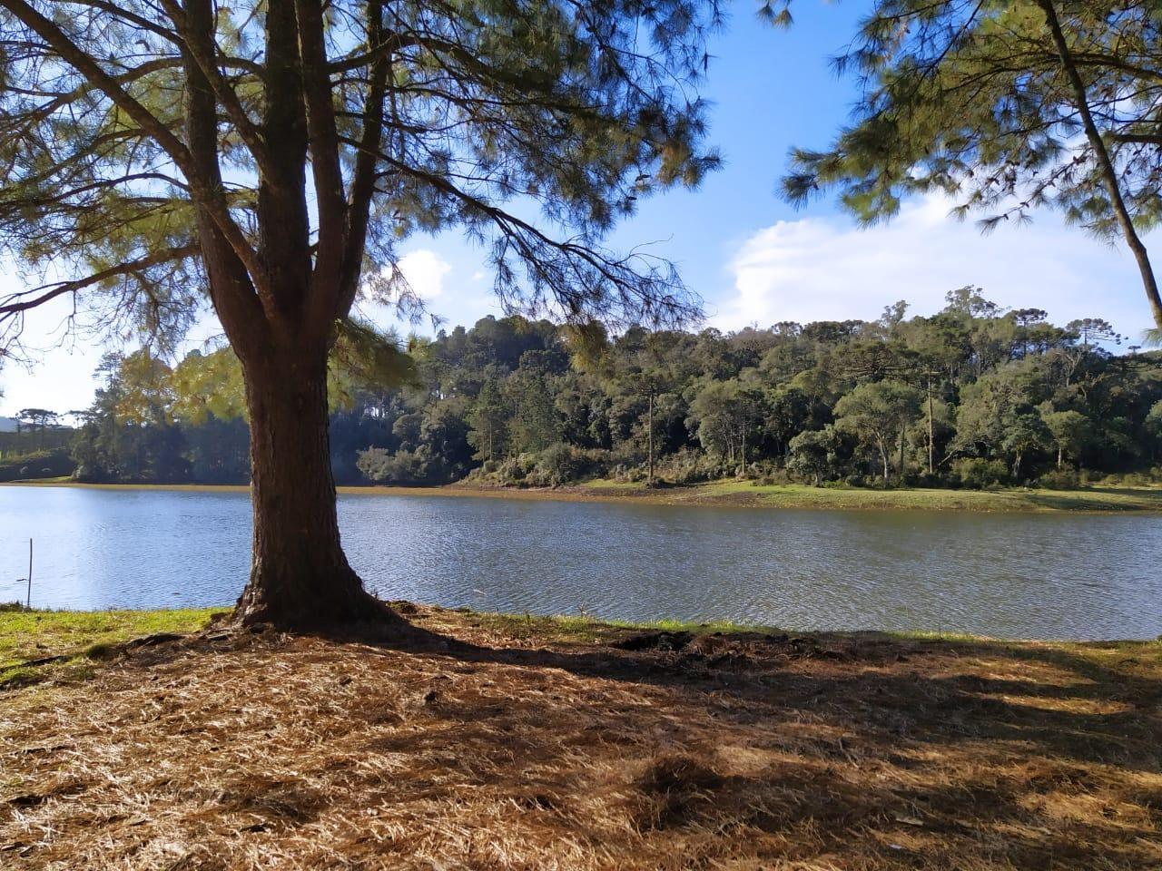 Projeto Caminhos do Campo será lançado em Petrolândia