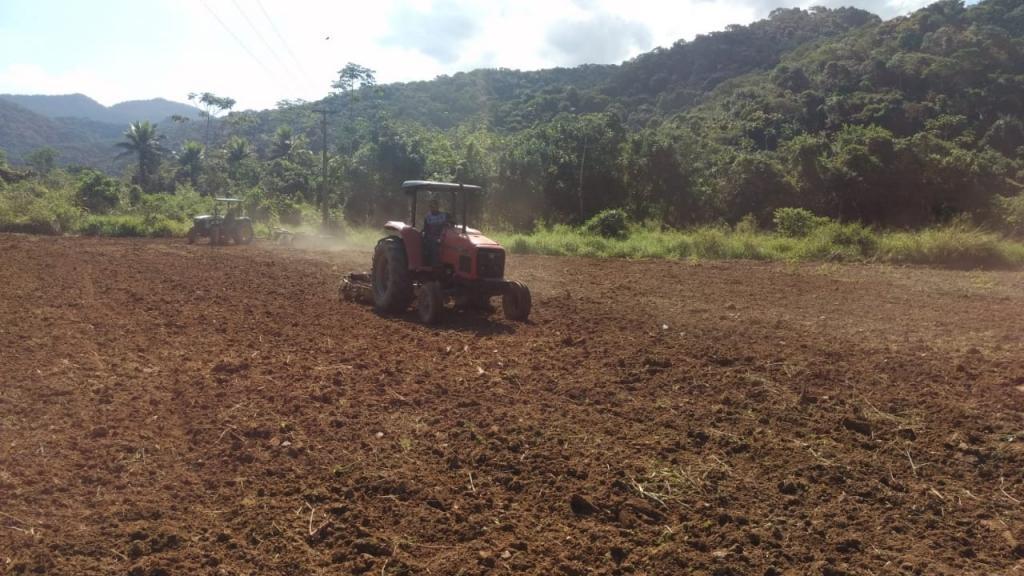 Projeto cria linha de crédito para filhos de agricultores comprarem terras