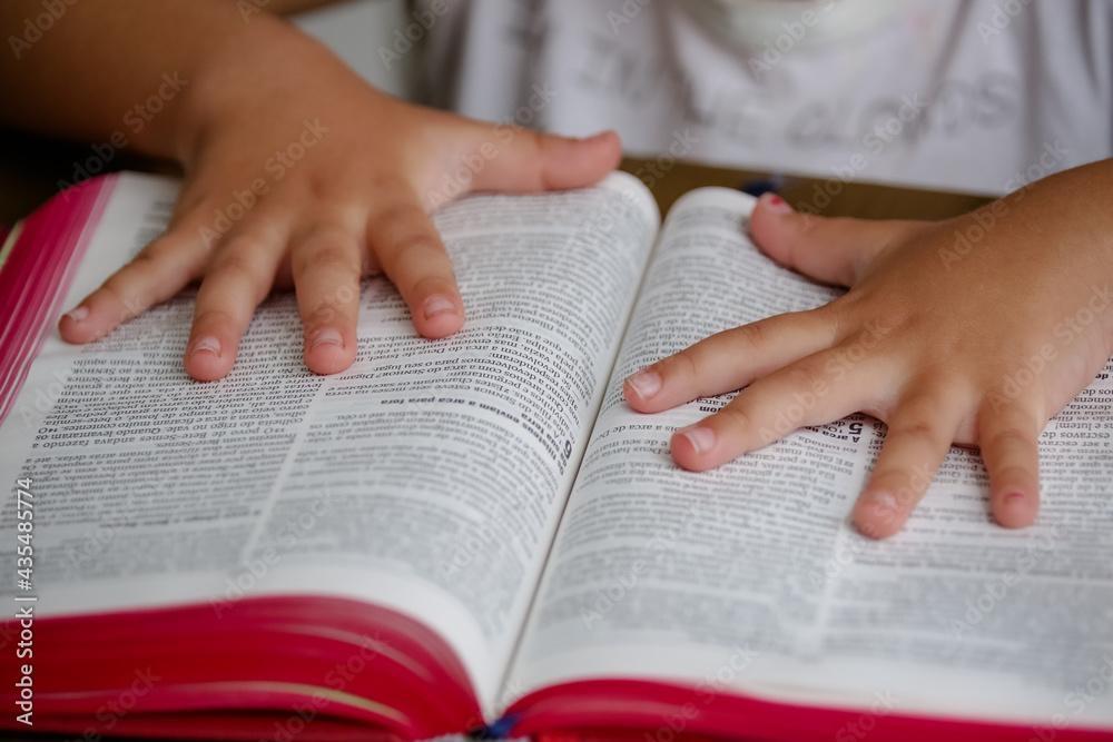 Projeto de lei quer tornar Bíblia obrigatória em bibliotecas de escolas estaduais de SC