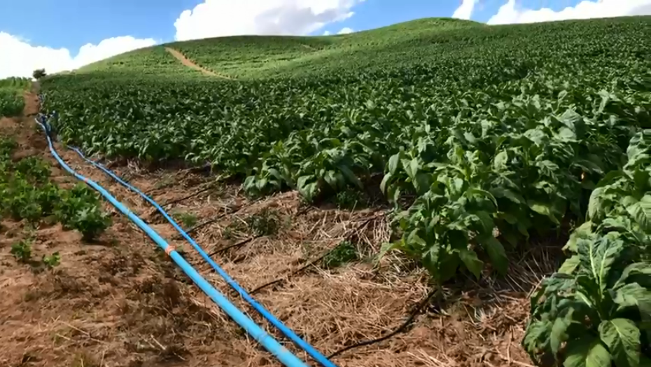 Projeto piloto para uso de energia solar foi apresentado em Atalanta