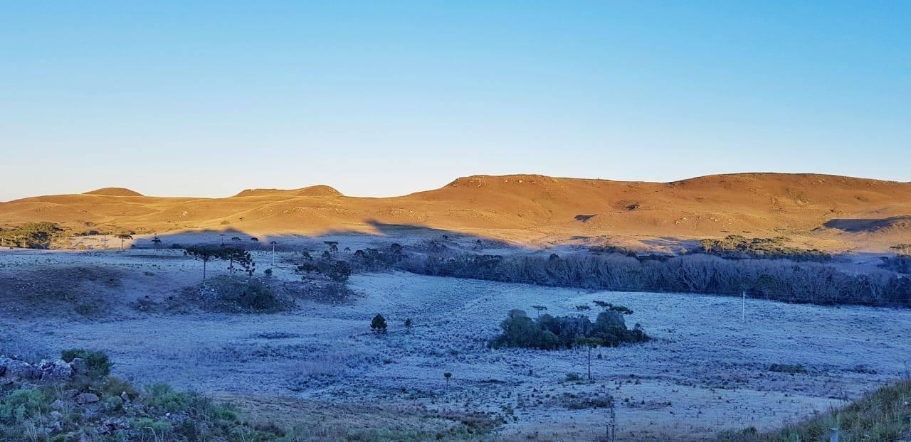 Registro de geada e temperaturas negativas na Serra