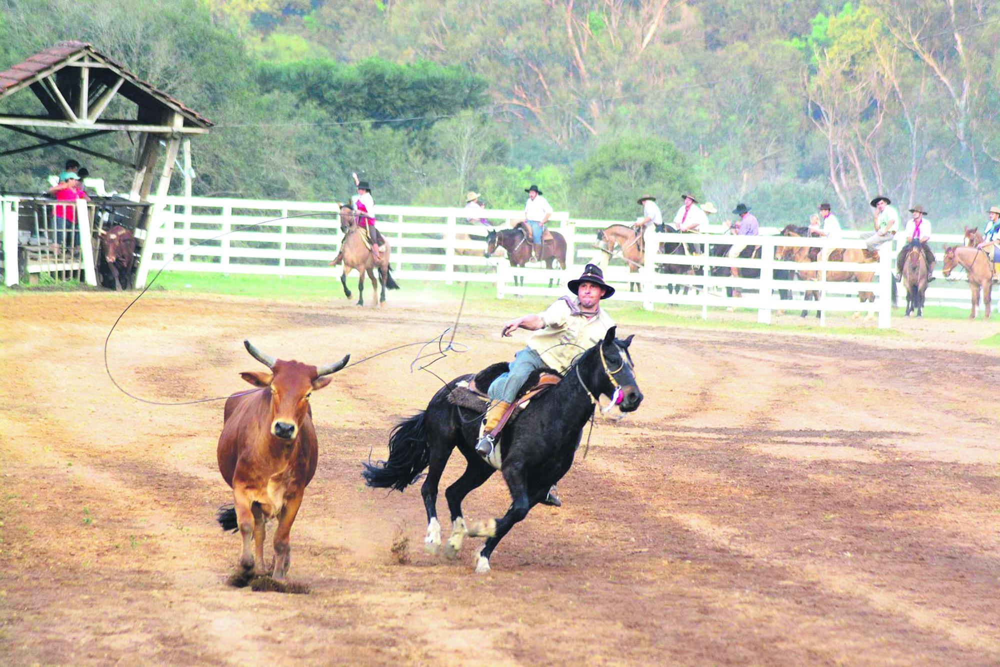 Rodeio beneficente será realizado durante festa do Barracão na próxima semana