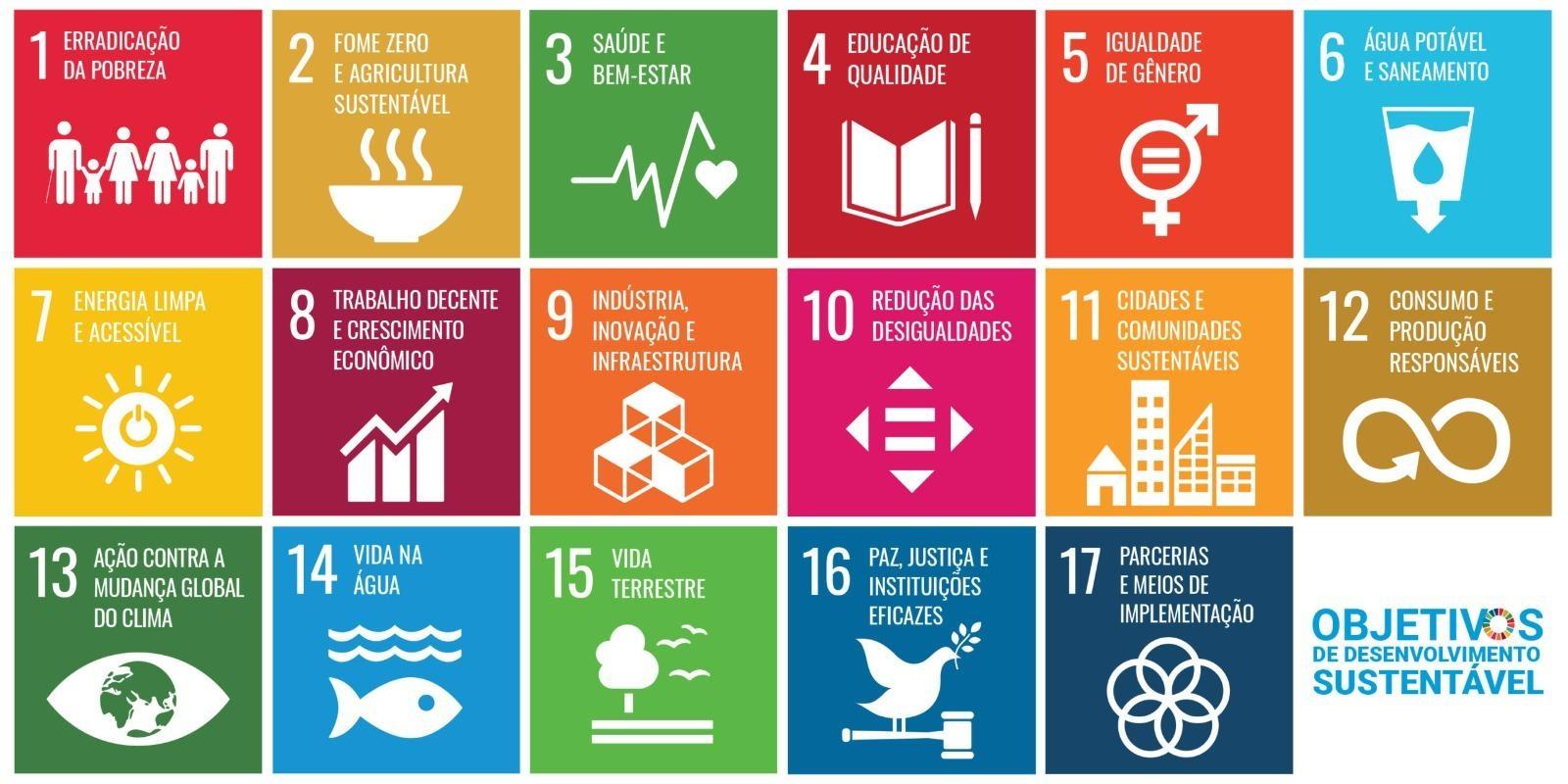 Saiba como você pode ajudar nos Objetivos de Desenvolvimento Sustentáveis da ONU