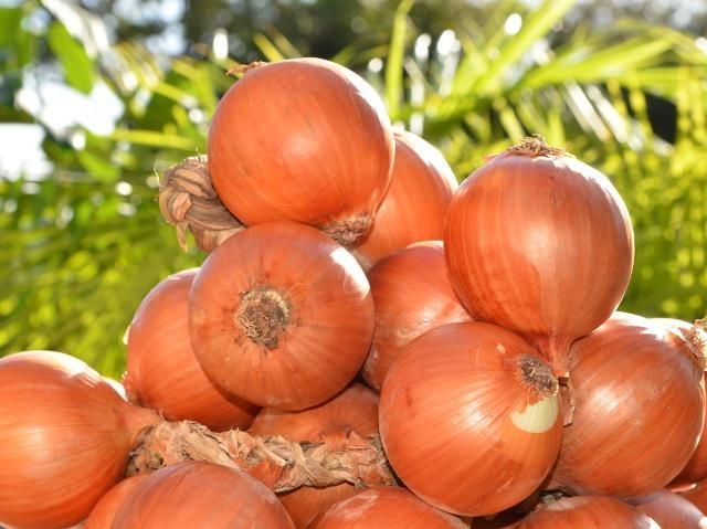 Santa Catarina alcança o maior valor de produção agropecuária da história