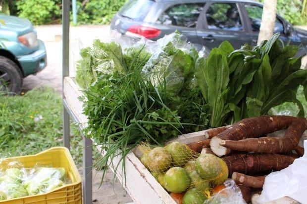 Santa Catarina cria Política Estadual de Incentivo às Feiras de Produtos Orgânicos