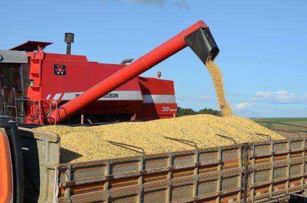Santa Catarina exportou quantidade recorde de soja até maio, aponta Epagri/Cepa 