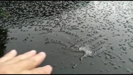 Santa Catarina registra chuva congelada em novembro pela primeira vez na história