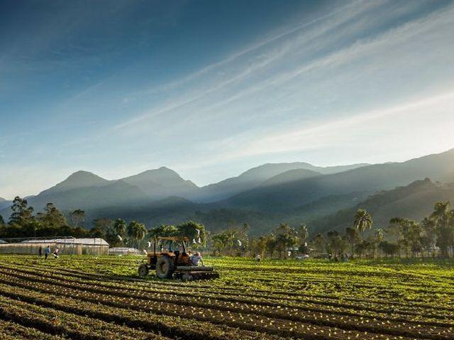Santa Catarina terá Observatório do Agronegócio 