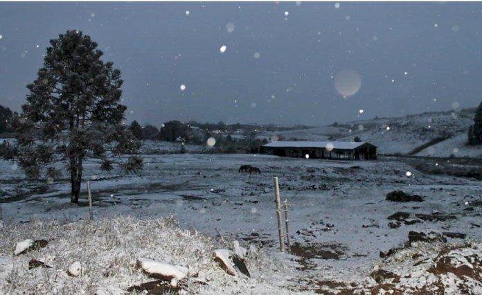 São Joaquim, Urubici e Urupema registram ocorrência de neve na manhã desta segunda-feira (28)