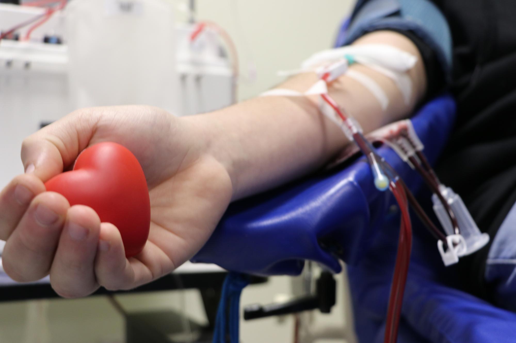Saúde de Ituporanga promove campanha de doação de sangue