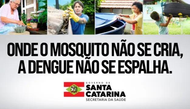 SC tem 143 municípios infestados pelo mosquito Aedes aegypti, transmissor de três doenças: dengue, zika vírus e chikungunya
