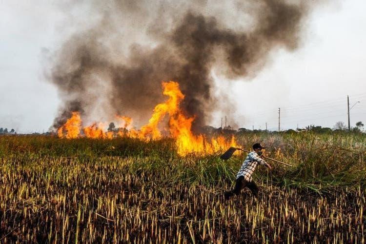 SC tem alerta para alto risco de queimadas nos próximos dias; ocorrências crescem 57% em 2020