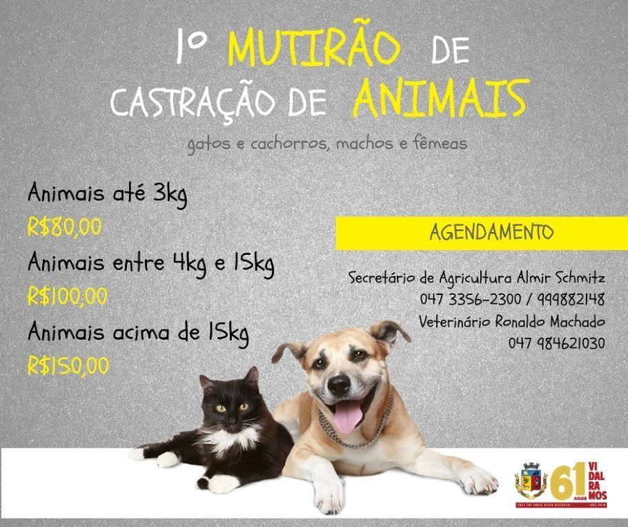Secretaria de Agricultura de Vidal Ramos organiza 1º Mutirão de Castração