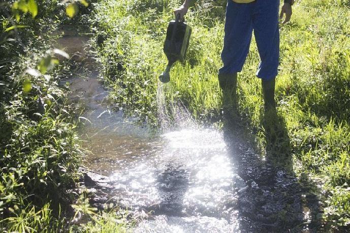 Secretaria de Agricultura vai promover campanha de controle ao borrachudo em Ituporanga
