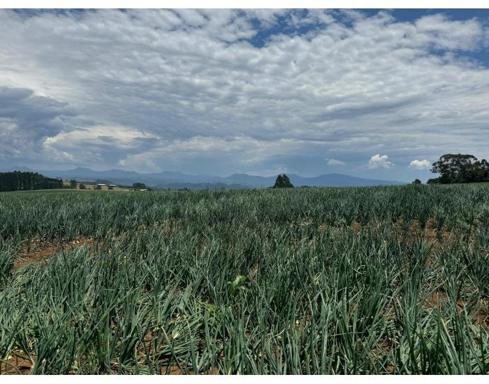 Secretaria de Estado da Agricultura e Pecuária lança Projeto Desburocratiza Agro SC