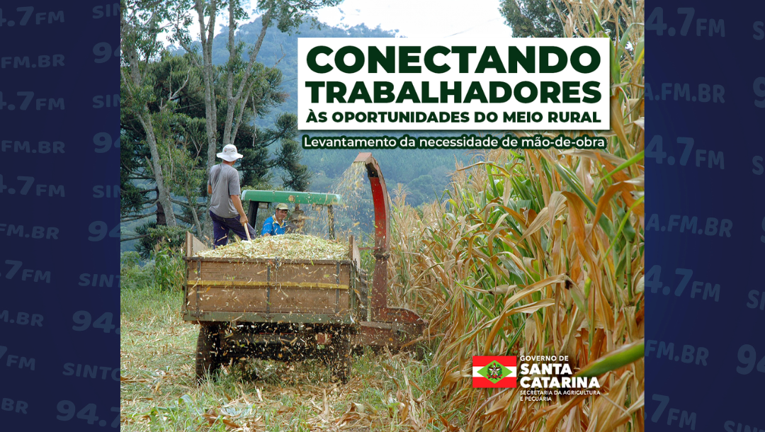 Secretaria de Estado da Agricultura e Pecuária (SAR) realiza levantamento sobre as oportunidades de trabalho no meio rural