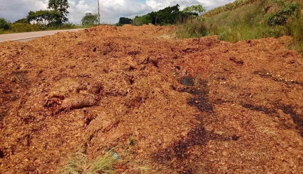 Secretaria de Agricultura e Meio Ambiente de Ituporanga fiscaliza descarte de cebola de forma irregular