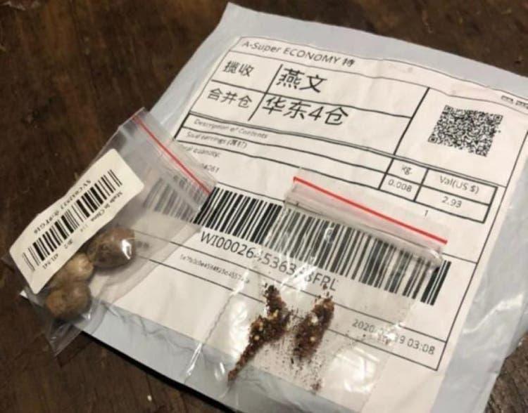 Sementes misteriosas da China possuem ácaro, fungos e bactérias, diz governo