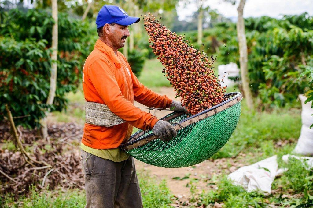 Seminário para lançamento do Plano-Safra 2021/2022 realizado pelo Sicoob Alto Vale e Epagri é nesta terça (27) em Ituporanga