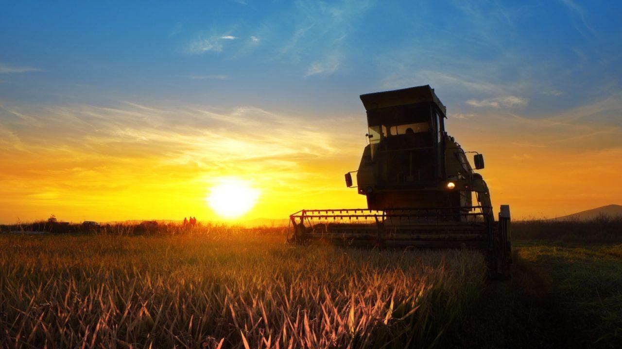 Senar oferece curso técnico de nível médio em agronegócio  no pólo de Rio do Sul