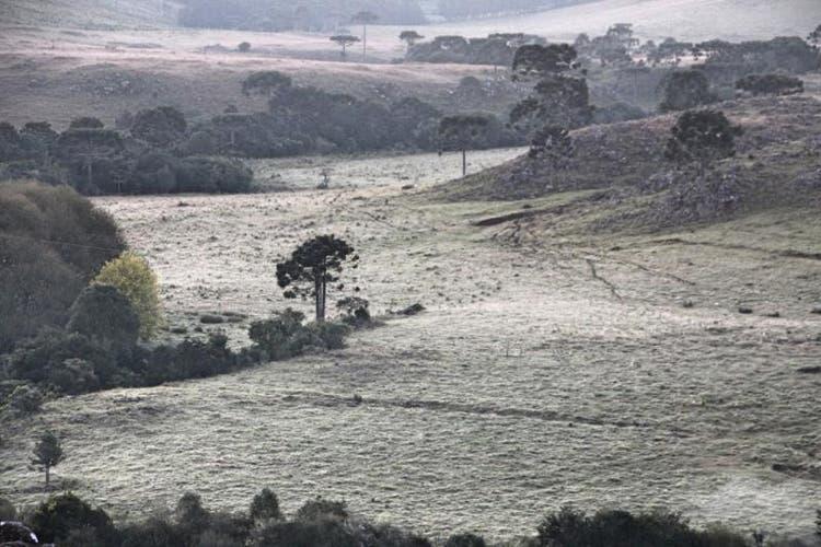 Serra de SC amanhece com temperaturas abaixo de zero e geada