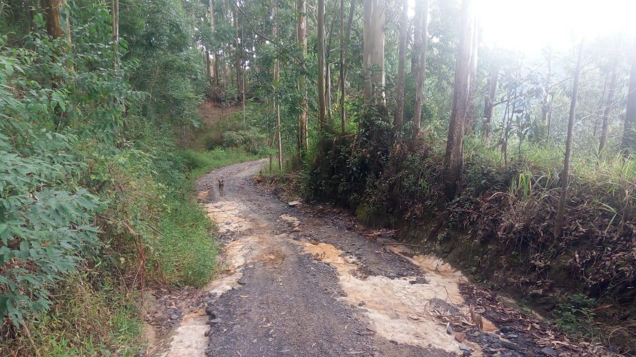 Serra do Alto Rio Novo em Ituporanga está interditada