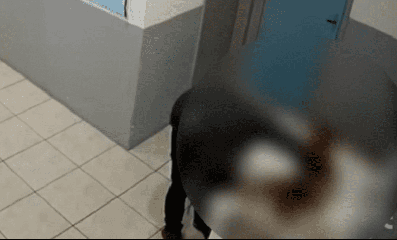 Servidor municipal é afastado por suposto abuso sexual contra cachorro