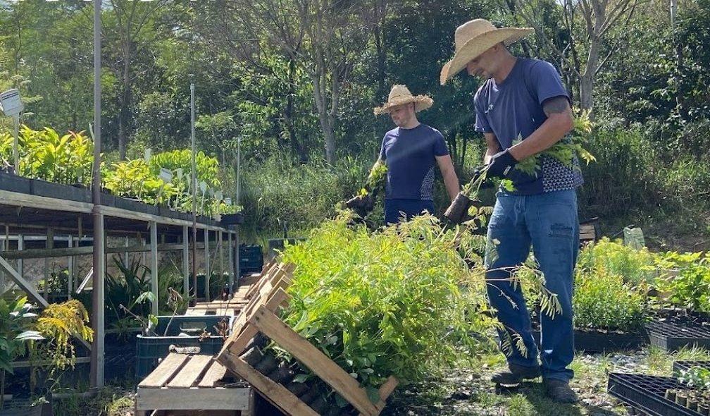 3º Feirão de Mudas Frutíferas, Ornamentais e Artesanato é considerado sucesso