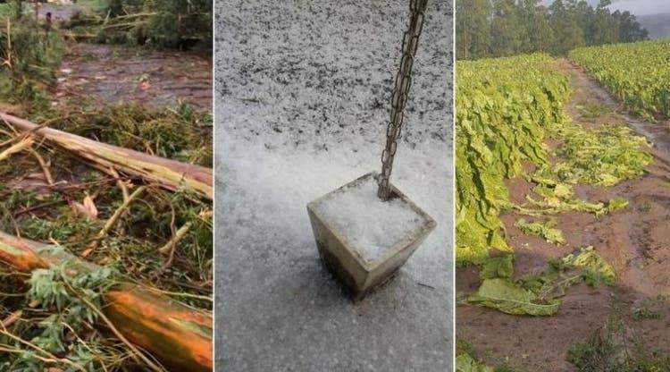 Temporal com granizo deixa rastro de destruição no Alto Vale