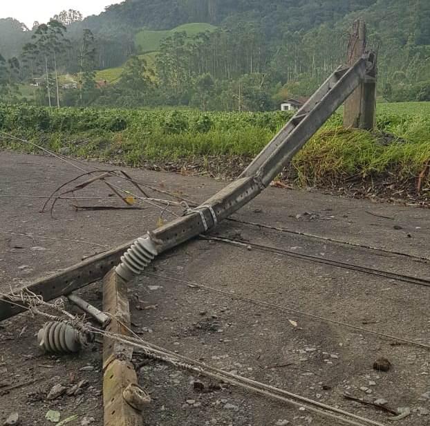 Temporal: dezenas de eucaliptos caem sobre a rede de energia e quebram postes em Atalanta