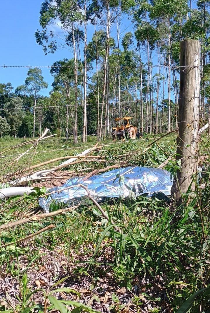 Uma pessoa morre e outra fica gravemente ferida em duas ocorrências de corte de árvores em reflorestamento no Alto Vale