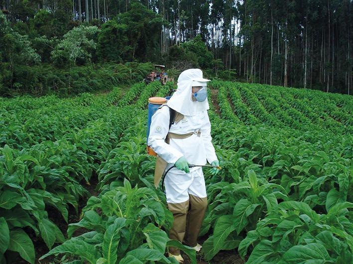 Uso de EPI's garante mais segurança e saúde ao agricultor