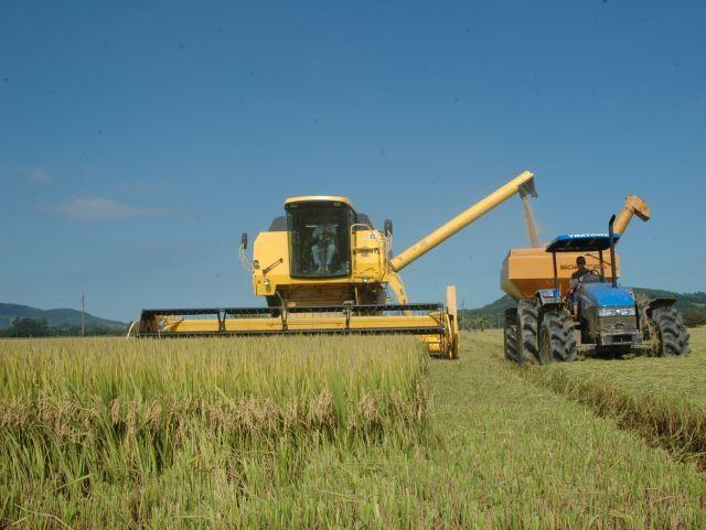 Valor da produção agrícola catarinense cresce 16,1% em 2022 