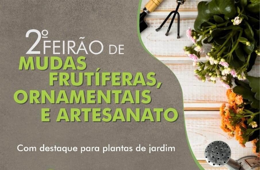 Vem aí o 2° Feirão de Mudas Frutíferas, Ornamentais e Artesanato em Ituporanga