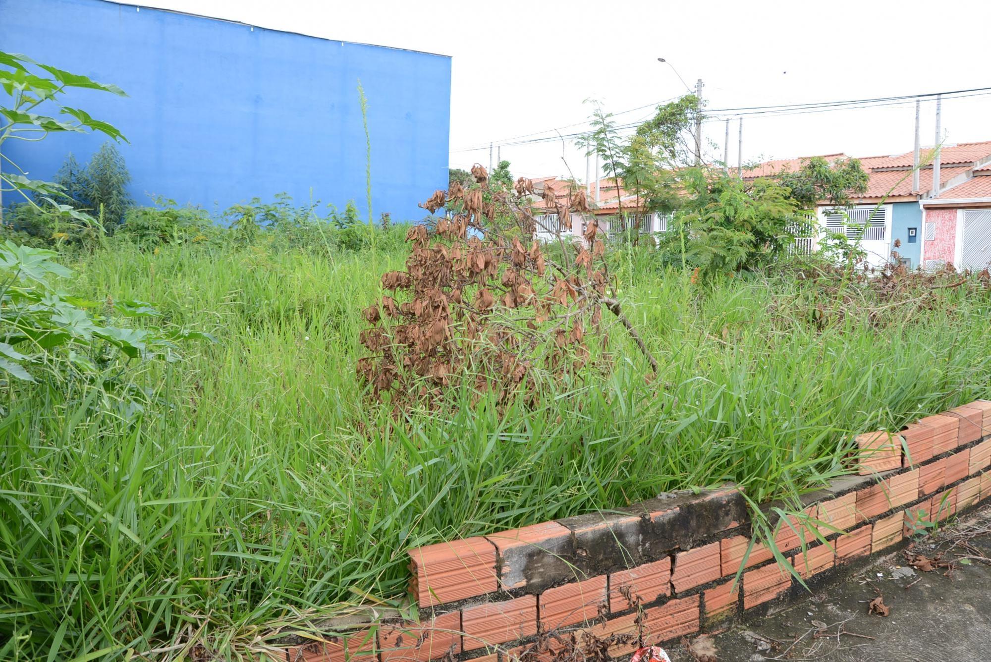 Vereador sugere punições a proprietários de imóveis e terrenos que se encontrem em estado de abandono em Ituporanga