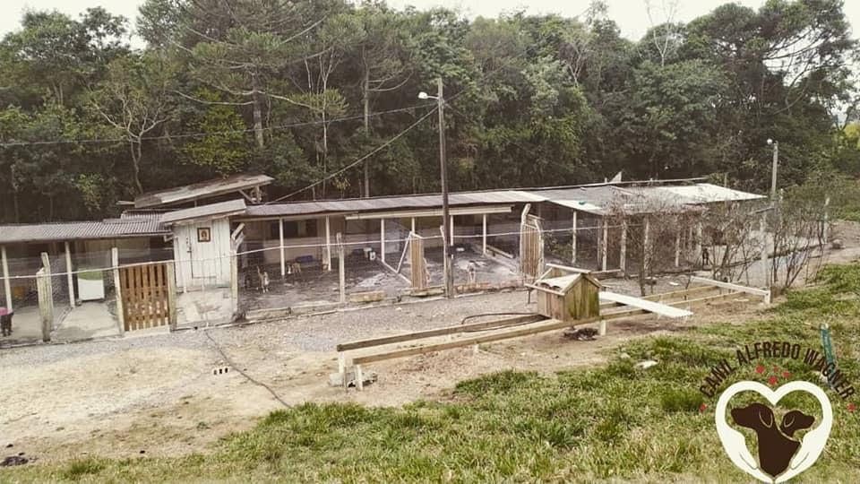 Vereadores pedem que executivo de Alfredo Wagner encontre um novo local para o canil do município