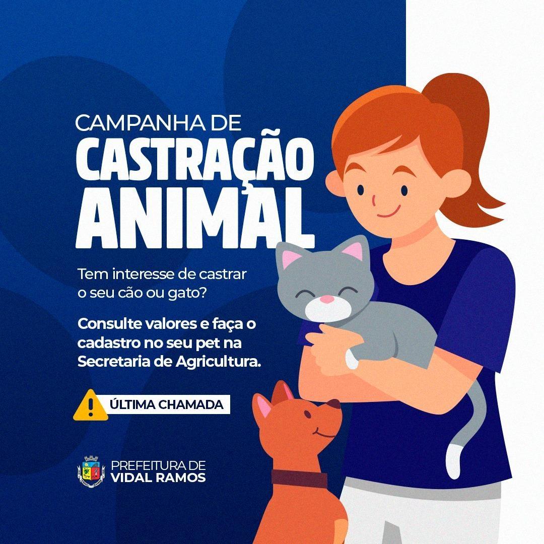Vidal Ramos abre inscrições para campanha de castração de animais
