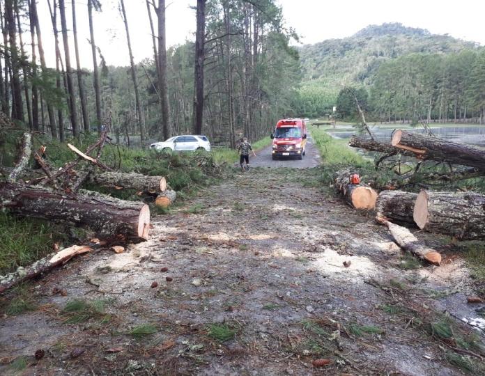 Temporal derruba árvores e causa estragos na Represa Perimbó em Petrolândia. Três pessoas ficaram feridas - 